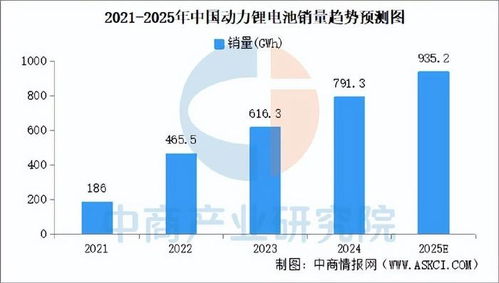 2025年中國動力鋰電池行業(yè)市場前景預(yù)測研究報告